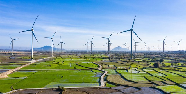 Năng lượng tái tạo giúp EVN tiết kiệm hàng chục nghìn tỉ đồng